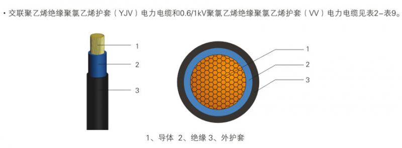 �͉������|